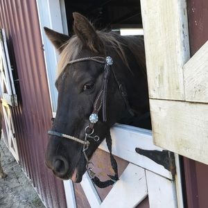 Meet your Posher, Shawna